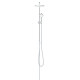 Душевая система с переключателем Grohe New Tempesta Cosmop. System