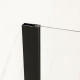 Душова перегородка Mixxus Premium FLAT SP02-100x200-TR Black Walk-In прозоре скло 8мм (MI6856)