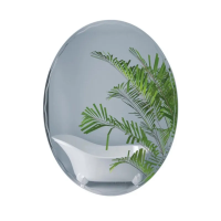 Зеркало настенное Zerix FUSION MOZ02-450x600 овальное с декором