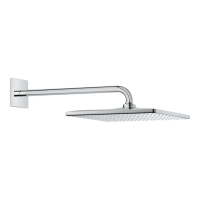 Верхний душ с настенным кронштейном Grohe Rainshower Mono