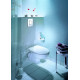 Панель змиву Grohe Skate Cosmopolitan для унітаза