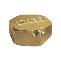 Заглушка Koer KF.P10F.WN - 1'' В (без никеля)