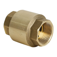 Клапан обратный 1-1/4" (Koer KR.171)