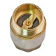 Клапан обратный ГШ Waterpro WP301-32FM - 1 1/4" (латунь)