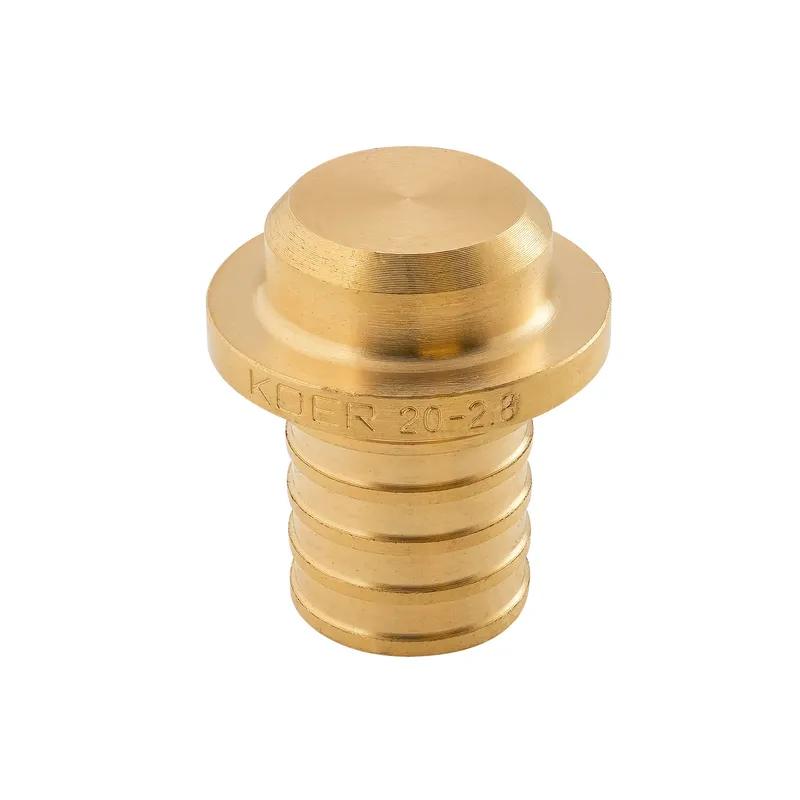 Заглушка Koer KA.P20 - 20(2.8mm)