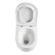 Унитаз подвесной Mixxus Premium Ellipse-0303-T3 520x365x360mm, система смыва Tornado 3.0